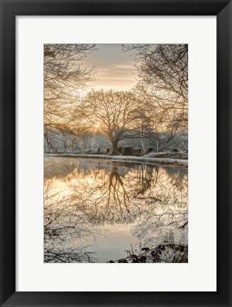 Framed Frosty Morning II Print