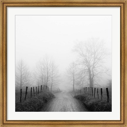 Framed Sparks Lane in Fog Print