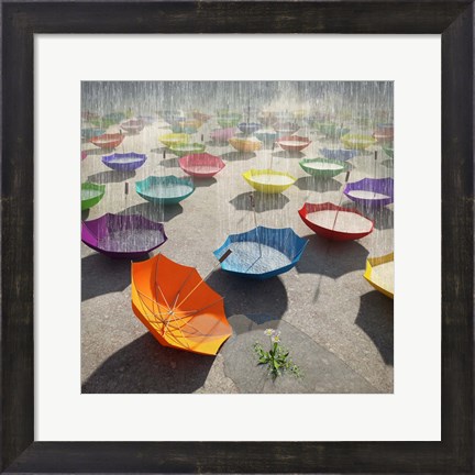 Framed Downpour Print