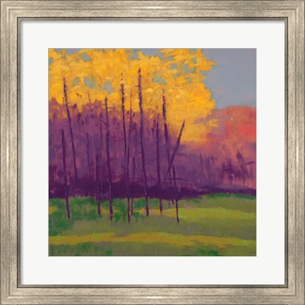 Framed Bright View No. 3 Print