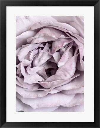 Framed Rose Heart Print