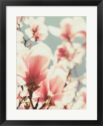 Framed Paris Petals 1 Print