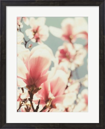 Framed Paris Petals 1 Print