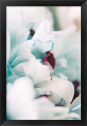 Framed Paris Petals 2 Print