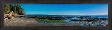 Framed Botanical Beach Panorama Print