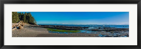 Framed Botanical Beach Panorama Print