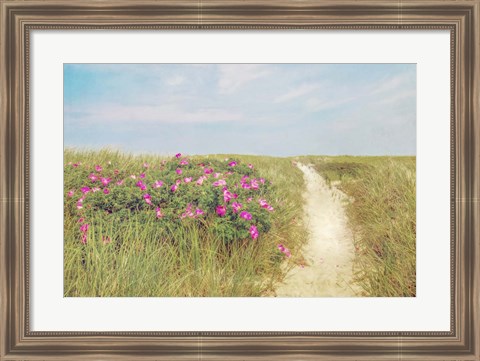 Framed Beach Roses Print