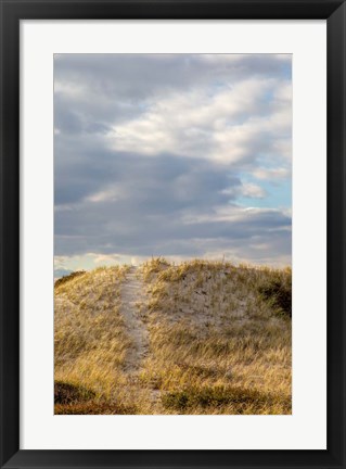 Framed Dunes Trail Print