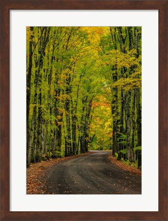 Framed Covered Road Near Houghton, Michigan Print