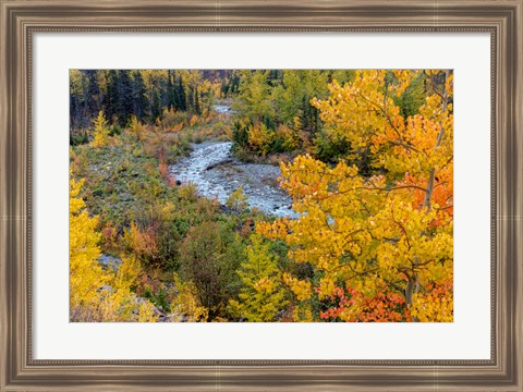 Framed Autumn Color Along Divide Creek In Glacier National Park, Montana Print