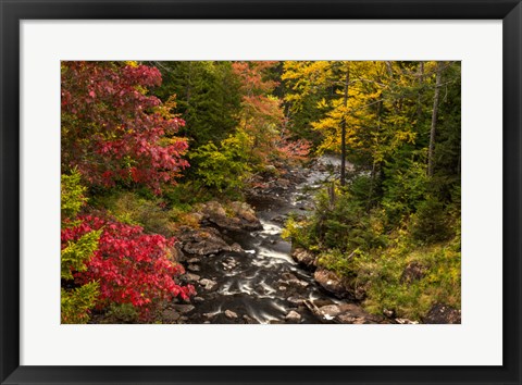 Framed New York, Adirondack State Park Stream And Forest In Autumn Print