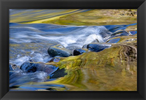 Framed Oregon Abstract Of Autumn Colors Reflected In Wilson River Rapids Print