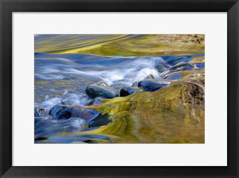 Framed Oregon Abstract Of Autumn Colors Reflected In Wilson River Rapids Print