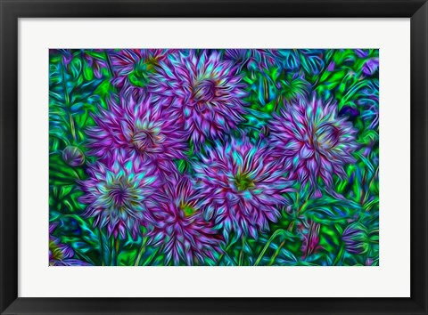 Framed Oregon, Shore Acres State Park, Abstract Of Dahlias In Garden Print