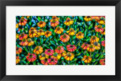 Framed Oregon, Coos Bay Abstract Of Flower Garden Print