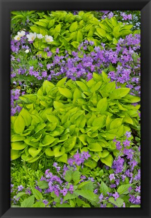 Framed Spring Colors, Chanticleer Garden, Pennsylvania 1 Print