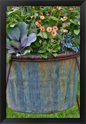 Framed Planter, Chanticleer Garden, Pennsylvania Print