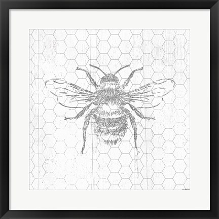 Framed Grey Bee Print