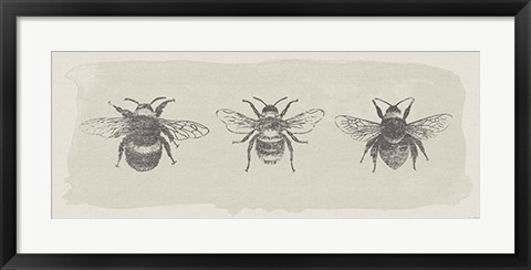 Framed Three Bees Print