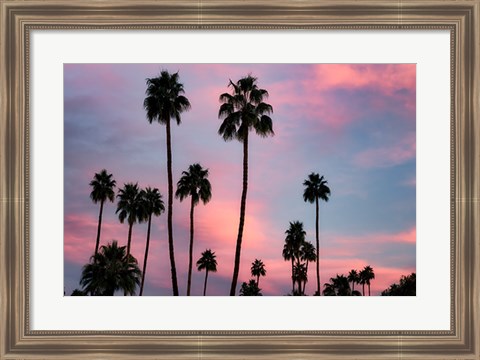 Framed Palm Sunset Print