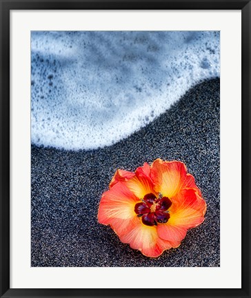 Framed Beach Floral Print