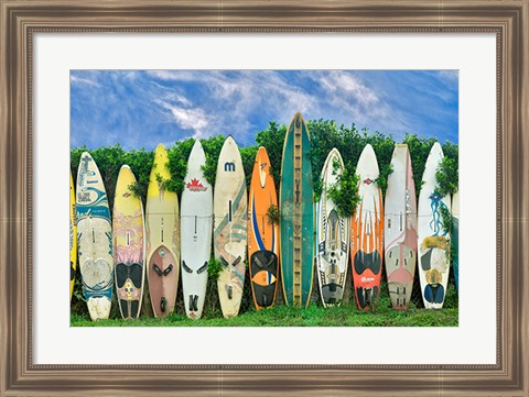 Framed Surfboards Print