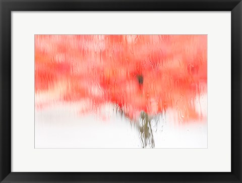 Framed Coral Window Print