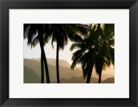 Framed Misty Palms II Print