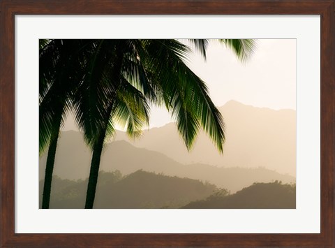 Framed Misty Palms III Print