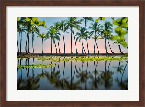 Framed Palm Tree Reflections Print