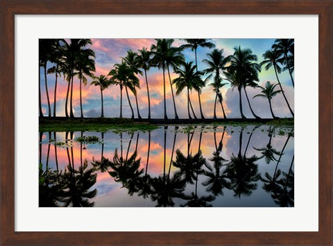 Framed Palm Reflections Print