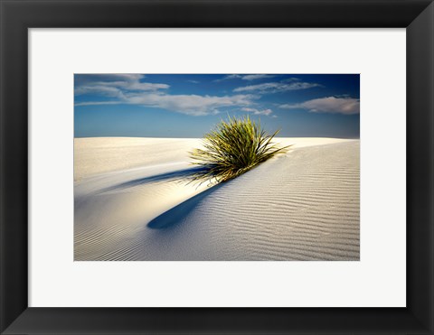 Framed Dune Print