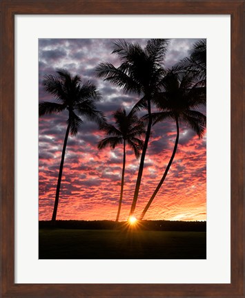 Framed Sunset Silhouette Print