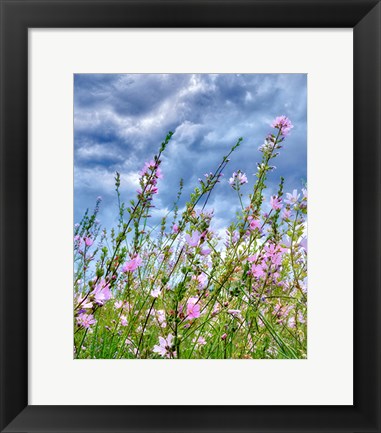 Framed Wild Flowers Print