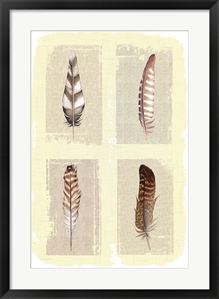 Framed Traditional Figurative Feathers Print