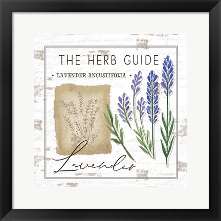 Framed Herb Guide - Lavender Print