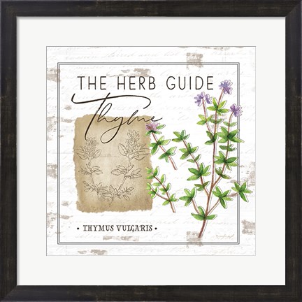 Framed Herb Guide - Thyme Print