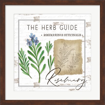 Framed Herb Guide - Rosemary Print