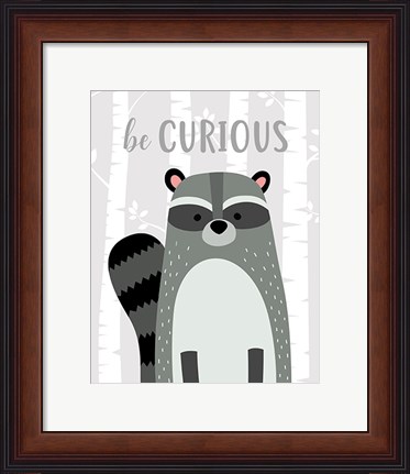 Framed Be Curious Raccoon Print