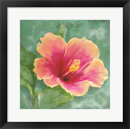 Framed Hibiscus I Print