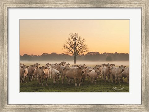 Framed Just Come Cows and A Dead Tree Print