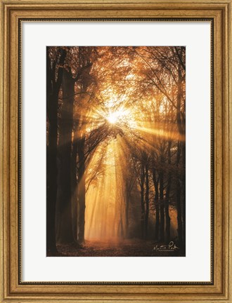Framed Sunburst Print