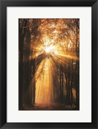 Framed Sunburst Print