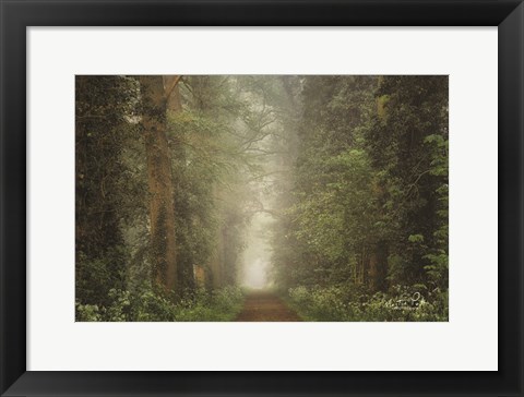 Framed Misty Spring Road Print