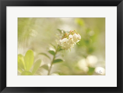 Framed Lingonberry Print