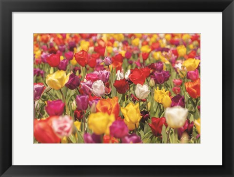 Framed Colorful Bouquet Print