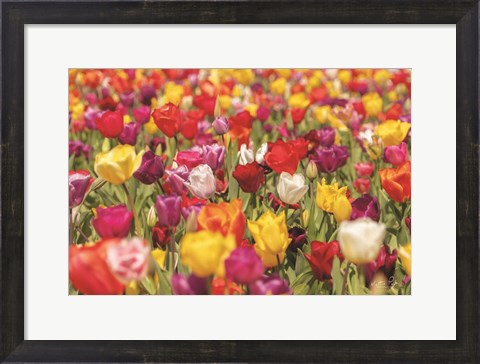 Framed Colorful Bouquet Print