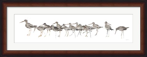 Framed Watercolor Sandpiper Panel Gray Print