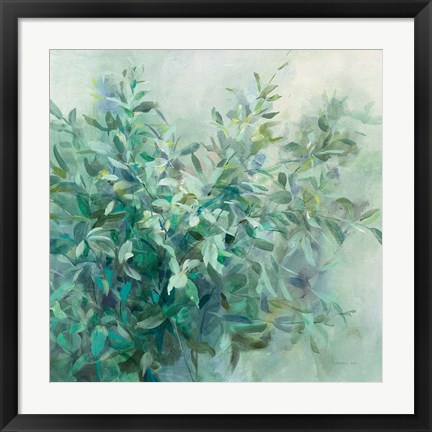 Framed Bay Laurel Print