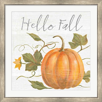 Framed Fall Splendor V Print